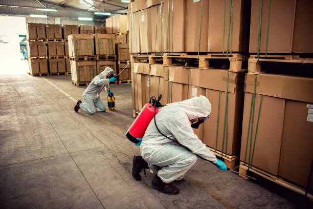 Wasp Removal Services in Seven Corners, VA