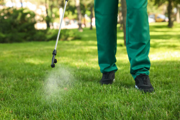 Best Pest Prevention Services  in Seven Corners, VA