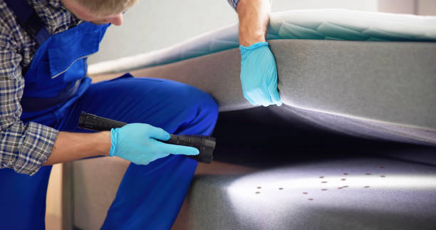 Best Cockroach Control Services  in Seven Corners, VA